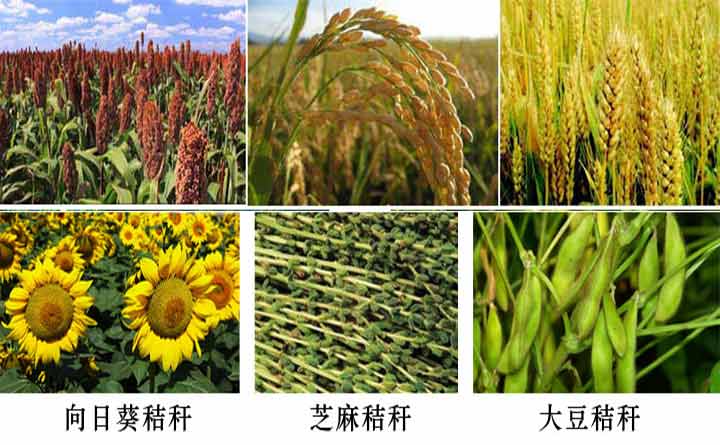 農作物秸稈圖 農作物秸稈圖