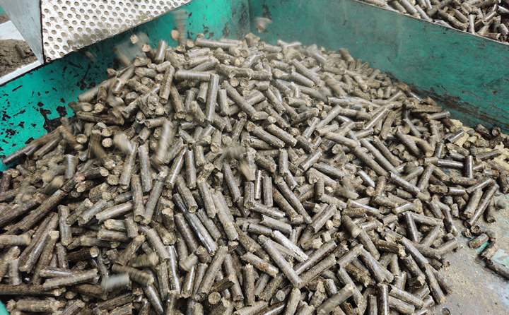 鋸末顆粒機顆粒 鋸末顆粒機顆粒