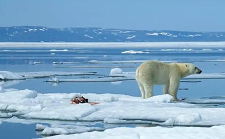 今年夏天阿爾卑斯山創紀錄的高溫導致瑞士冰川大面積融化 今年夏天阿爾卑斯山創紀錄的高溫導致瑞士冰川大面積融化