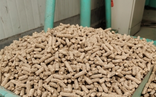 在燃燒時，水分大的生物質顆粒會出現哪些問題？